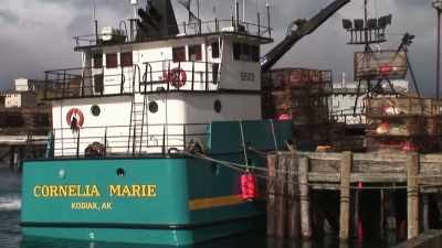 [man] she goes
in there when it goes
through, uh, balance again, - Deadliest Catch: Bloodline