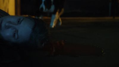 [man] Harry, come here, boy!
Harry! - Wentworth