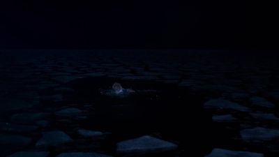 Man: Help. - Under the Dome