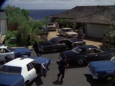 Man: HOLD IT! - Hawaii Five-O