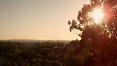 Man: IT'S 5:30 A.M.
IN LOS ANGELES, - Wicked City