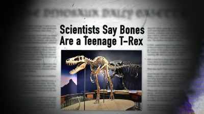 MAN, IT'S HARD TO ARGUE
STUFF LIKE THAT. - Dino Hunters