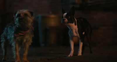 Man, look, always falling for
that crazy little dog trick. - Strays