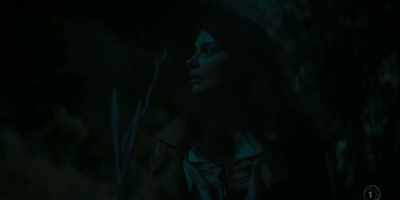 (MAN MUTTERS INDISTINCTLY,
ECHOES) - The Luminaries