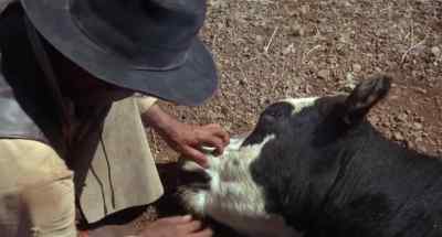 MAN : No more than five,
six hours ahead now. - Hang 'Em High