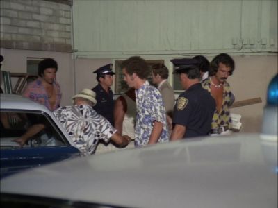 Man: NO PROBLEMS. - Hawaii Five-O