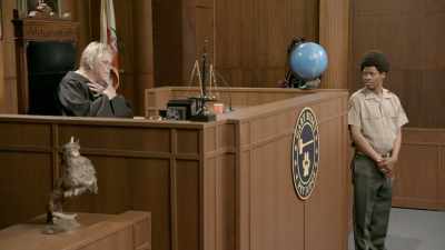 Man. Okay, Katie, - Gary Busey: Pet Judge