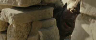 MAN ON RADIO:
Slower what? - The Wall