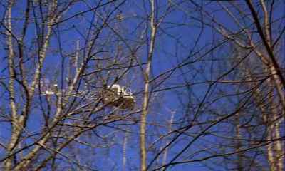 [ Man On Speaker ]
Stop where you are.
We have you spotted. - The Crazies