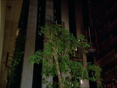 Man (over pa): Miss
charlene Richards, - The Love Boat