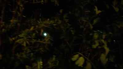 MAN [OVER RADIO]:
Sector four is clear. - Zoo