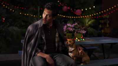 Man, Papi.
What am I gonna do? - Beverly Hills Chihuahua 2