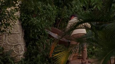 [ Man Shouting ] - Burn Notice