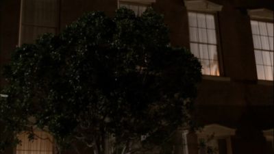 (man shouting) - NCIS