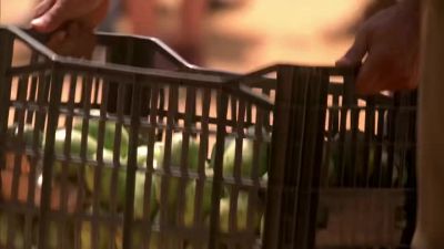 [MAN SHOUTS IN SPANISH] - Prison Break