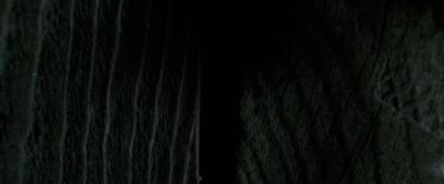 MAN Shut it Emily - The Raven