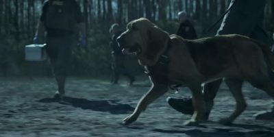 [man] Simmer down. Simmer down! Good boy. - Ozark