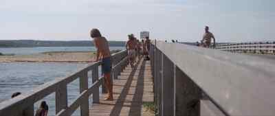 MAN: Somebody get
a gun and shoot it! - Jaws