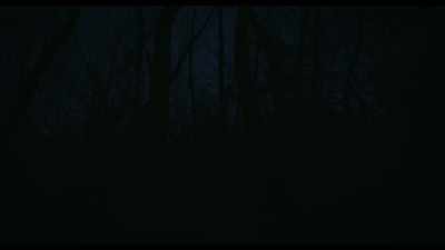 [MAN SPEAKING] - The Truffle Hunters