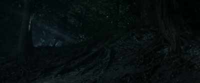 Man: Stop looking for us.
Stop fucking looking! - Lord of Misrule