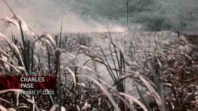 Man: THERE WERE
THOUSANDS OF ACRES - The Pacific War in Color