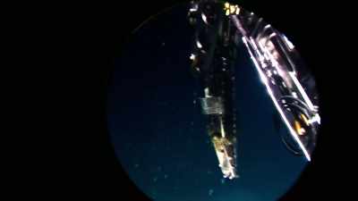 Man: THESE LARGER ORGANISMS
REALLY DON'T LIKE TO BE IN THIS FLUID. - Strange Evidence