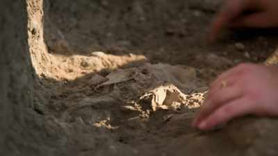 - MAN: We actually find a skull.
- GRIMALDI: Oh... Amazing! - Lost Treasures of Rome