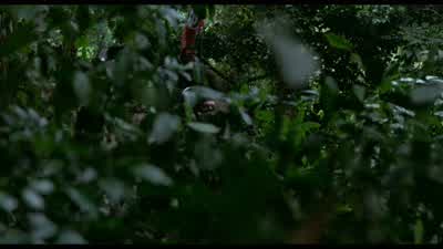 MAN: We got men wounded and live gooks at 3 o'clock. - Platoon