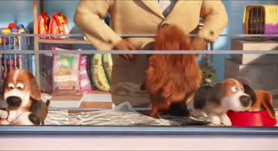 Man, we had fun. - The Secret Life of Pets