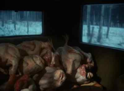 MAN:
Yee-ha! - The Homecoming: A Christmas Story