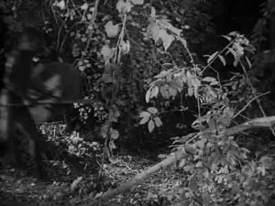 [MAN YELLING] - Tarzan Escapes