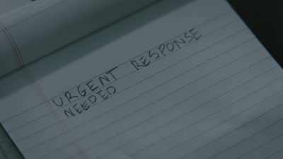 Management wants you to get answers - Counterpart