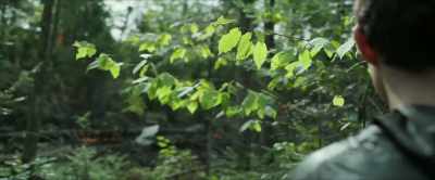 [MANCHEE BARKS] - Chaos Walking
