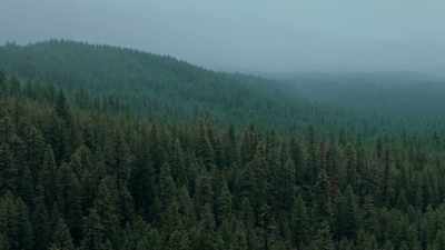 [Mandy] "Do you think
she could have run away?" - Lost Women of Highway 20