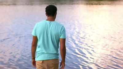 Mangroves offer everything the
manatees need. - Harmony in Paradise