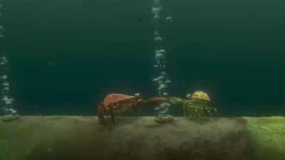 Manna from heaven Sweet nectar of life - Finding Nemo