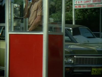 MANNY, LICENSE NUMBER 2M-4558. - Hawaii Five-0