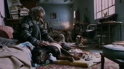 Manuel, bastardo. - Amores Perros