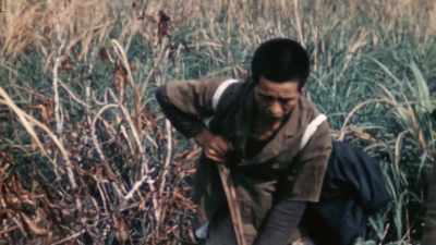 MANY ARE IN RAGS. - The Pacific War in Color