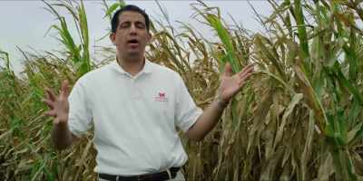 Many crops were lost
due to the weather, - Hot Money