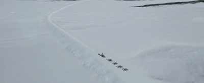  Many left with broken dreams. - The Great Alaskan Race