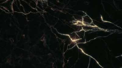 Many neurons have
thousands of connections - Cosmos: Possible Worlds