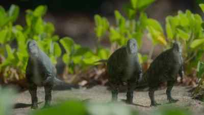 Many of the forest's permanent residents
regularly come down here… - Prehistoric Planet