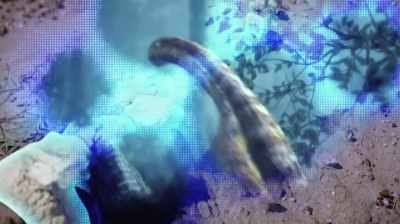 MANY PEOPLE CONSIDER
THE HADROSAURS - Dino Hunters