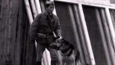 Many people didn't receive medical treatment. - KGB - The Sword and the Shield