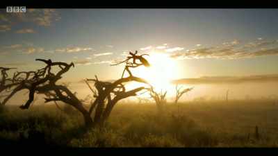 Many people think of extinction - Extinction: The Facts