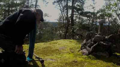 Many shamanic cultures - Fantastic Fungi
