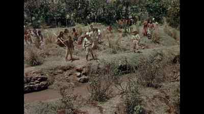 Marabunta! They're coming across
on leaves! - The Naked Jungle