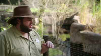 MARCUS: I think it's going great.
Based off of what we saw today, - Magic of Disney's Animal Kingdom