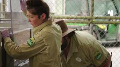 MARCUS: - Magic of Disney's Animal Kingdom
